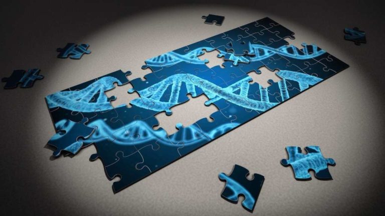 Pièces de puzzle formant une section d'ADN