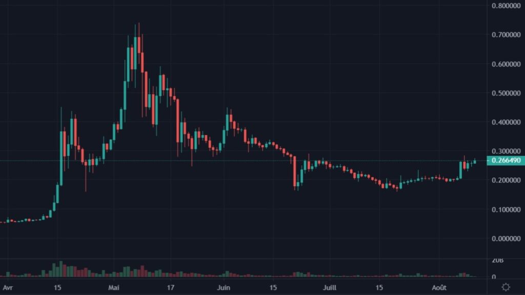 Cotation du Dogecoin en USDT du 01 avril 2021 au 10 août 2021 en UT Daily