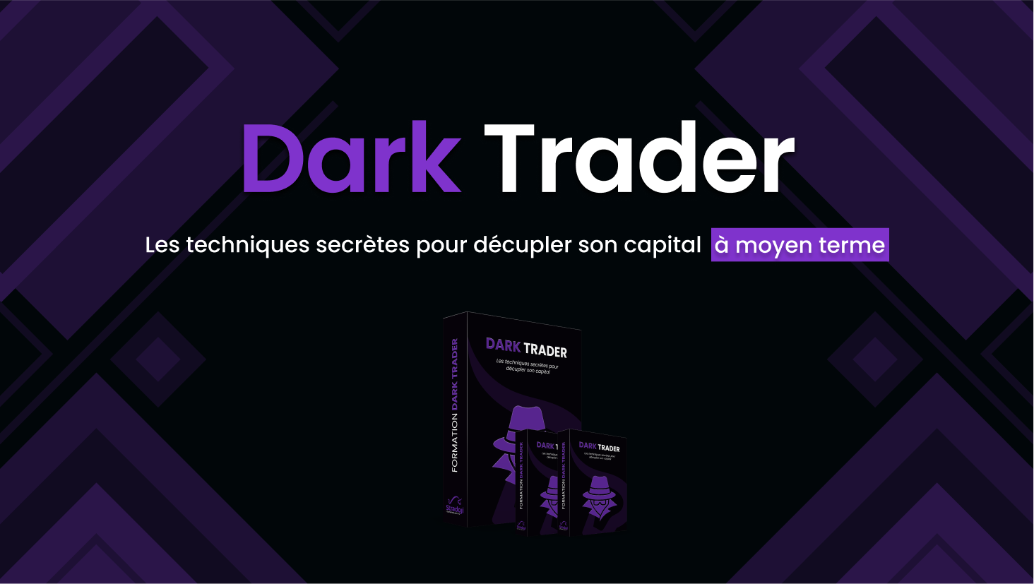 Dark Trader - Les techniques secrètes pour décupler son capital à moyen  terme
