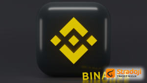 Binance Auto Invest