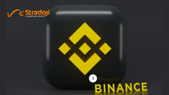 auto invest binance