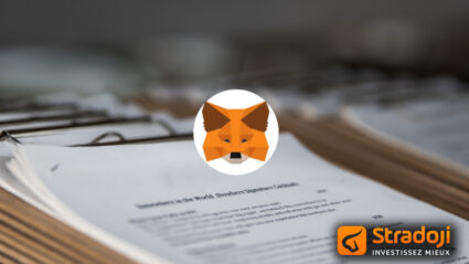 METAMASK Politique Confidentialité