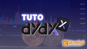 Guide dYdX