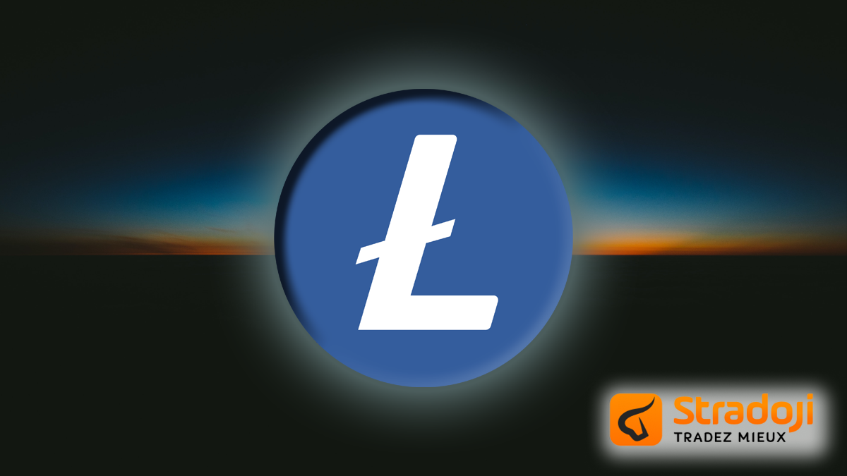 Halving litecoin