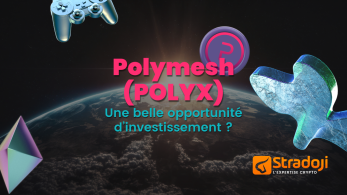 Polymesh POLYX