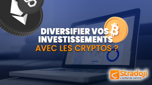 plan d'investissement